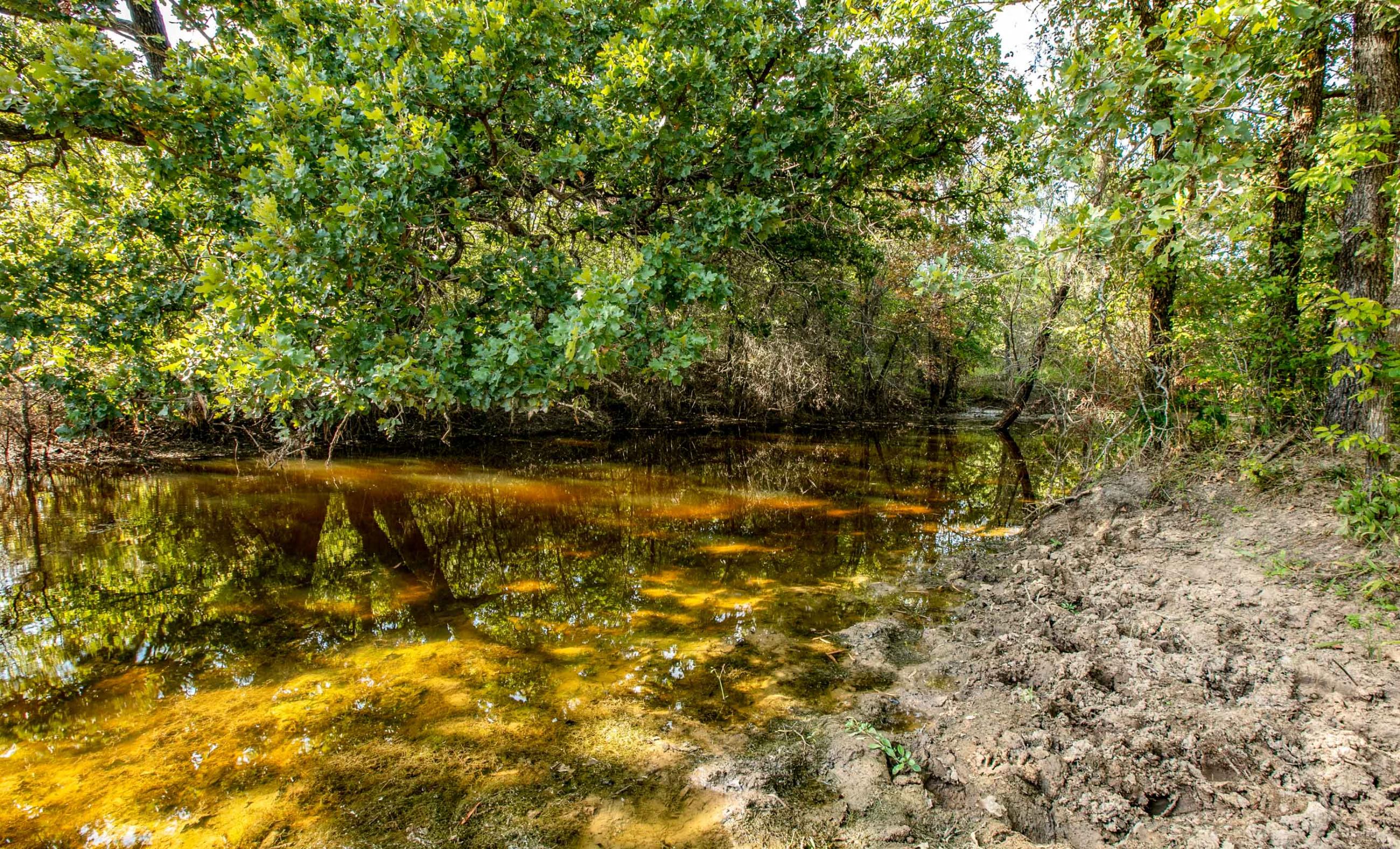 Coastal Mesa Ranch Chas S. Middleton